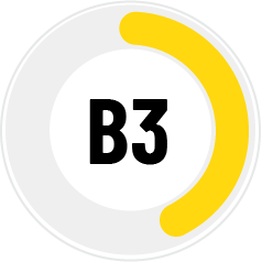 B3